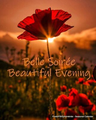 292433600_5535884966461554_6429647281220250432_n