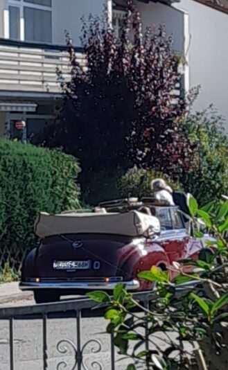 Screenshot_20250928_183854_Gallery