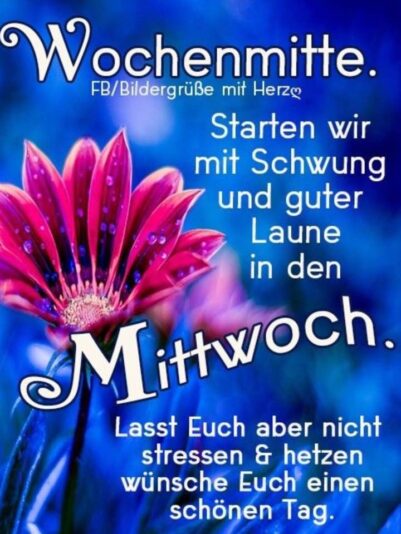 78795474_1035351613485794_959454226017157120_n