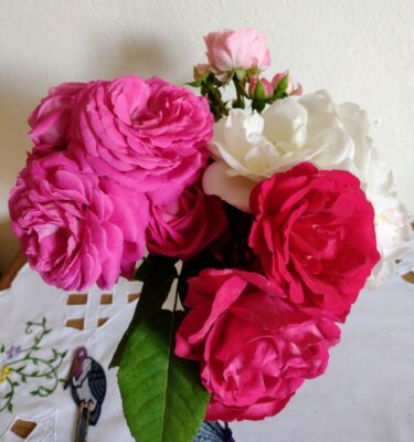 IMG_20220604_092859049