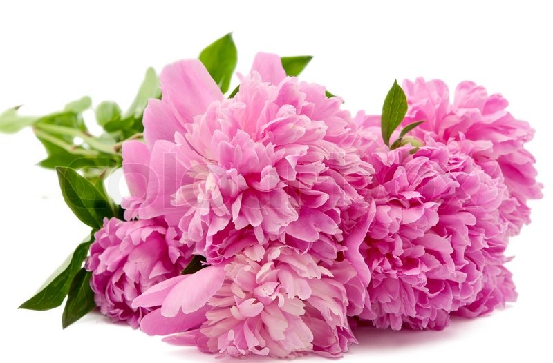 800px_COLOURBOX1909381 (1)