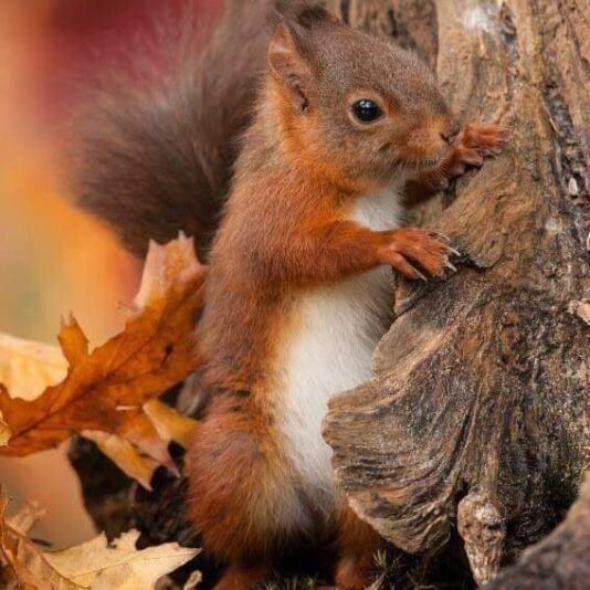 279104808_1381367625715543_893623111529094674_n