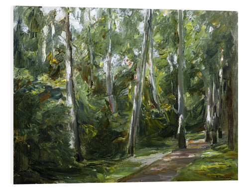 BIRKENALLE IM WANNSEEGARTEN