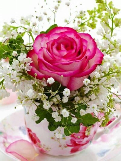 176012599_2894466744124457_2826051877622912042_n