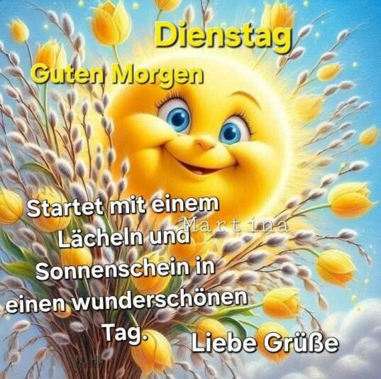 509431353_2528251684202613_4076079323713286082_n