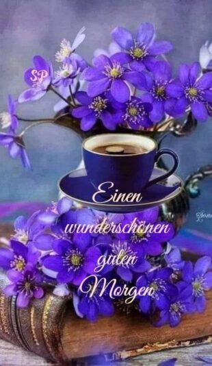 429824723_831004842399799_1430793629193046925_n