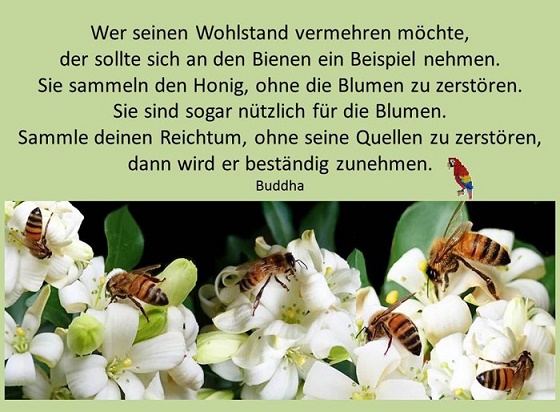Wohlstand_vermehren