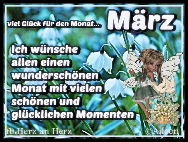 441e6834-bb04-451e-bd11-1d654feacef9