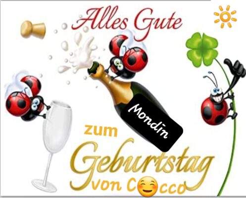 Screenshot_20220201-112926_Samsung Internet