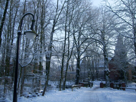 Januar - Februar 2010 018