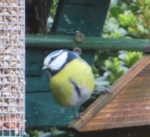 20230330135215_IMG_6413