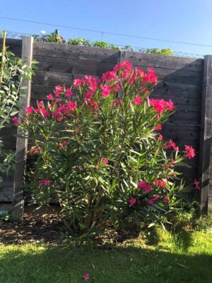 D8CBC155-1870-422B-A1D4-FA24705D77EF