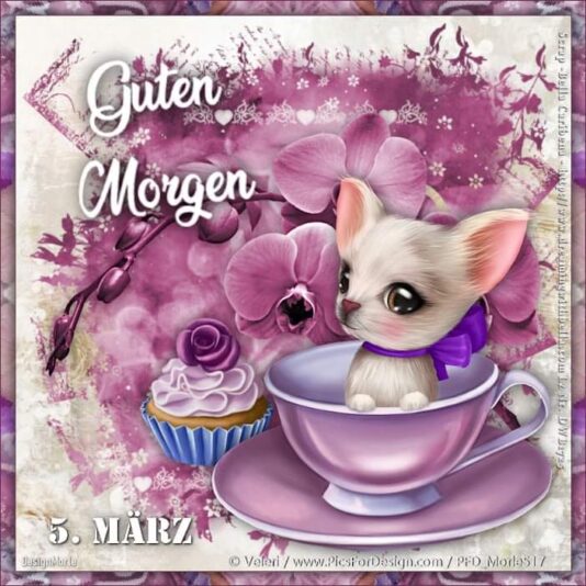 417474901_7283084261783086_6951872747470204236_n (1)