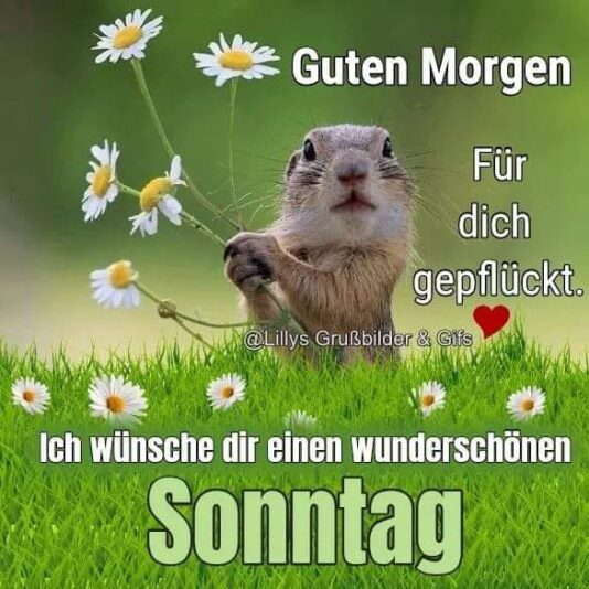 295773726_1142294186353244_954789048045568714_n (2)