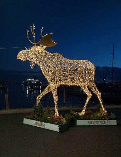 Screenshot_20251125_174116_Gallery