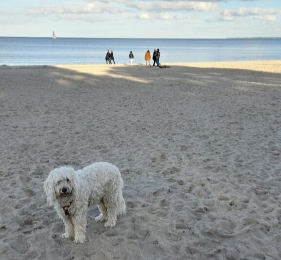 Screenshot_20251019_220406_Gallery