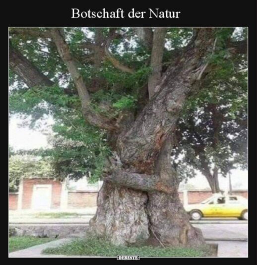 275853062_4922024334583975_1047770367048588858_n