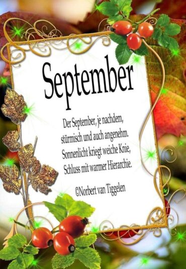 IMG_4919.JPG September