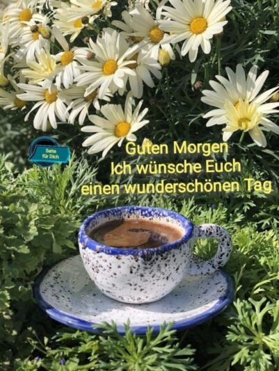 440777502_1898320077339984_7391310480462850811_n