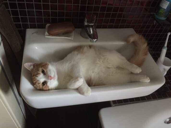 81489B9F-9D22-4945-BCCA-FE48BBBE7446