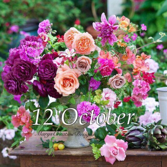 240659424_3024300791141051_6312112198999185014_n.jpg 12.10.