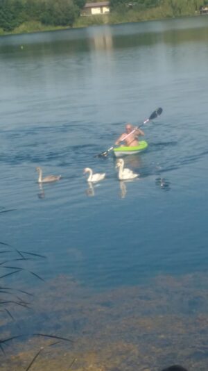 IMG_20200913_133938521