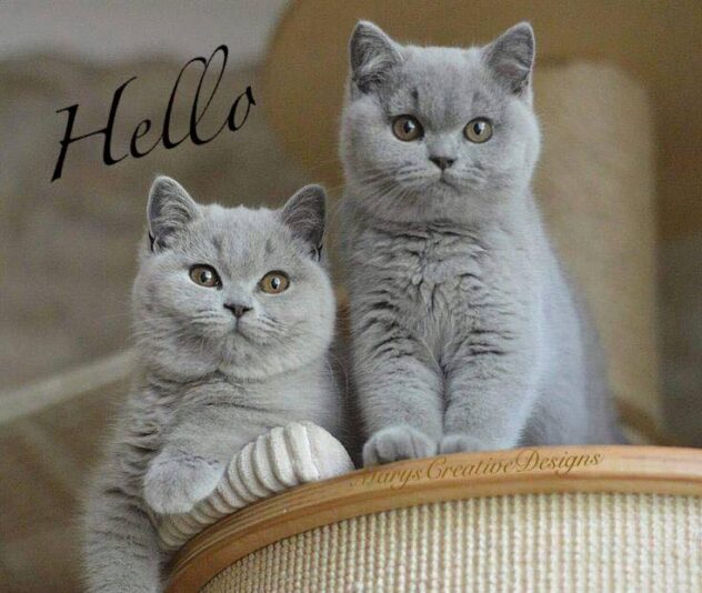 219178360_2973048776266253_998869104952420821_n