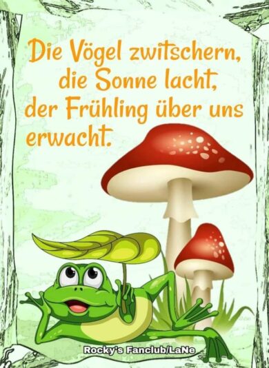 432768950_930200142147166_12255981911812679_n