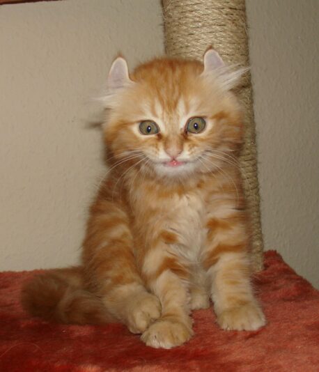 775132_393005300789861_324628602_o