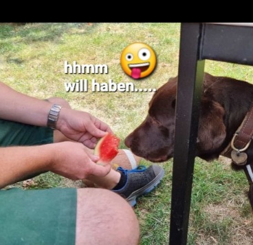 Screenshot_20220724-100521_WhatsApp