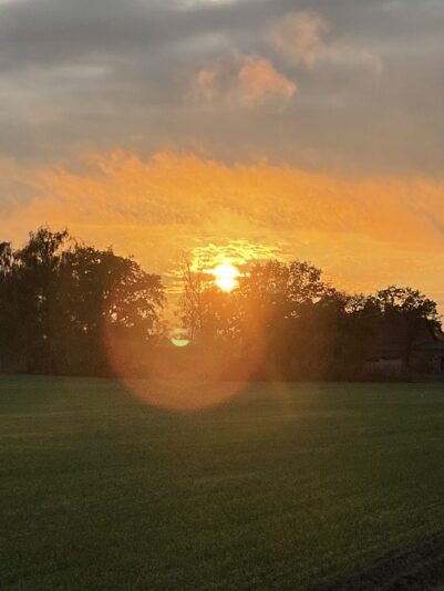 E709EB34-A42E-49C2-8DC8-EE580099EDF2