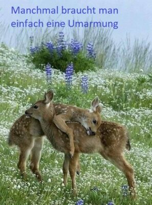 94639740_2962730693813344_7969803638728032256_n