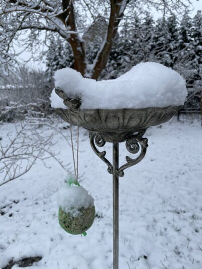 595F9631-A423-4E95-8FDF-4CD7095E0D7E