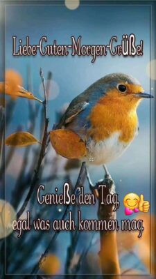 5405561b-7762-4422-93b2-c7af8ae741b4