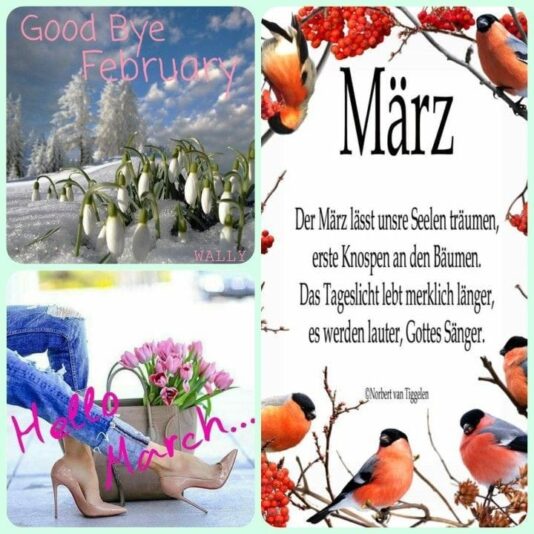 430465651_1129733231718801_811078256157158546_n