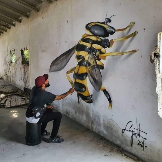 316133056_8575434365863603_3366453750602907708_n