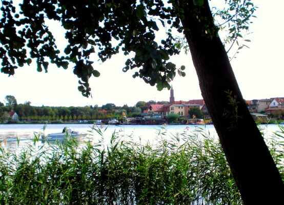 Wasser, Wasser mein Element.