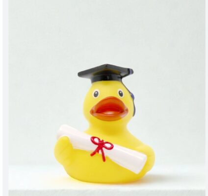 Gallery_1760167830539