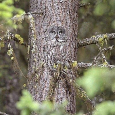 93959426_2962681550484925_7827109492121665536_n