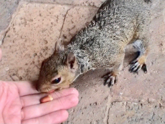 UNADJUSTEDNONRAW_thumb_19c (1)