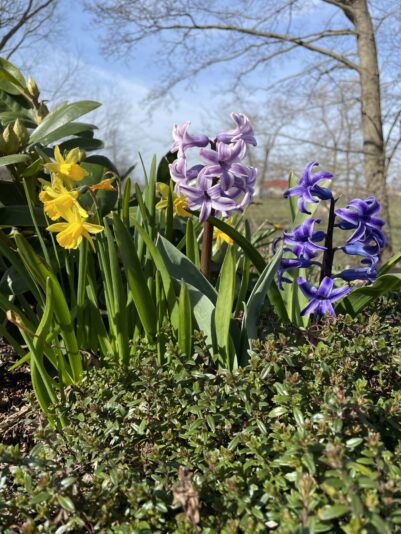 6200AB74-D70B-4084-9717-BADF9CDD5854