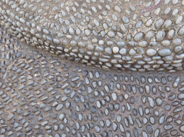 5.+6.12.2021 Rundfahrt Madera (51)