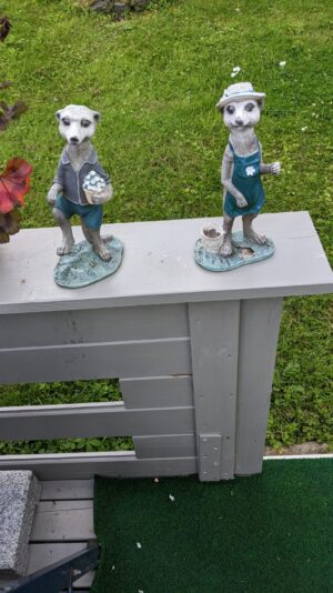 PXL_20230808_155549670