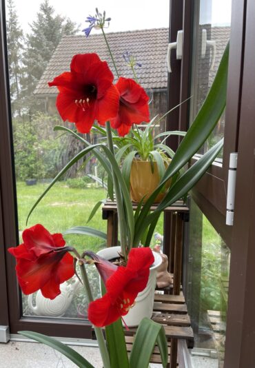 30798AC6-D240-411C-9662-1C06DC564999