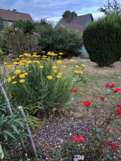 491E7D24-FC61-4B62-813D-BBE8AA80991C