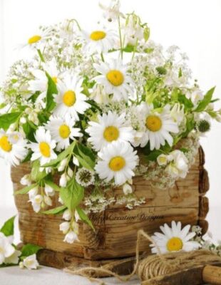 280127889_3193921587512303_7864795476300236532_n