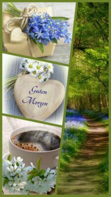 2f1a1621-582c-4b38-b482-b29fb0c8015b