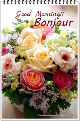 362995033_710742097754762_5724119352143497956_n