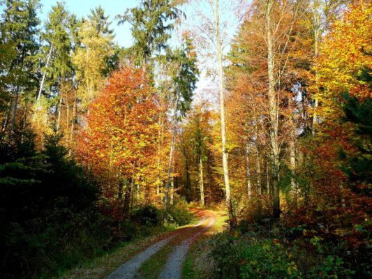 459090276_1934225387017849_7823109691091744559_n