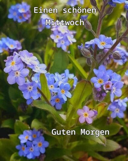 215578339_264388105447449_5898455694926082528_n (1)